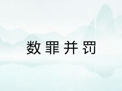 数罪并罚