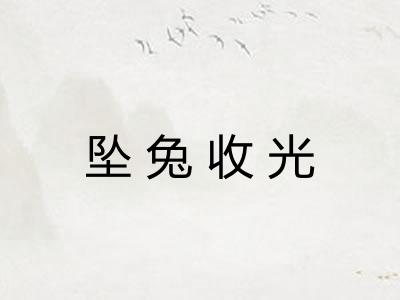 坠兔收光