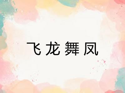 飞龙舞凤