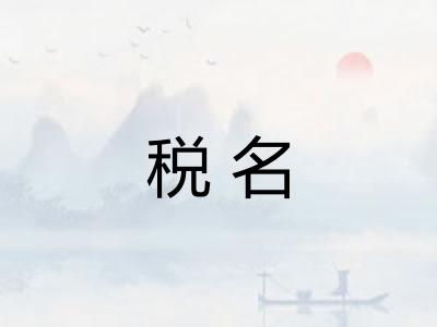 税名