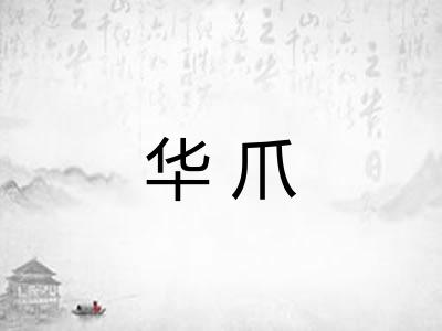 华爪