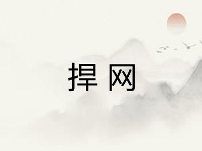 捍网