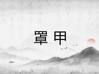 罩甲