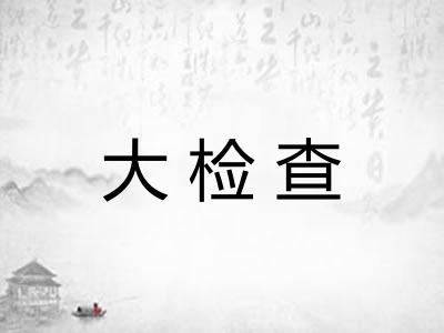大检查