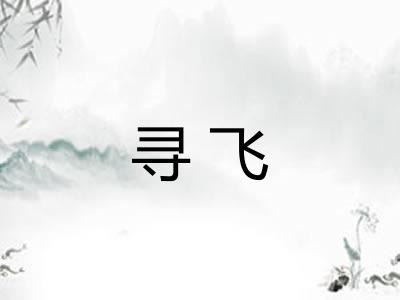 寻飞