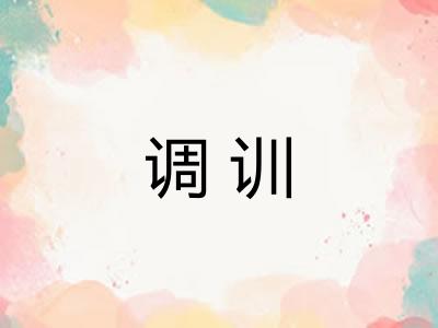调训