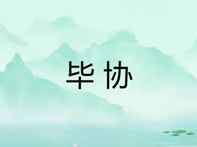 毕协