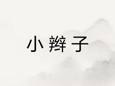 小辫子