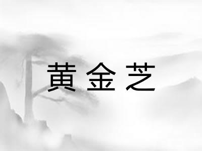 黄金芝
