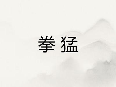 拳猛