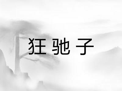 狂驰子