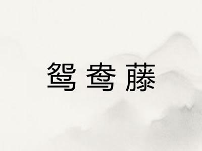 鸳鸯藤