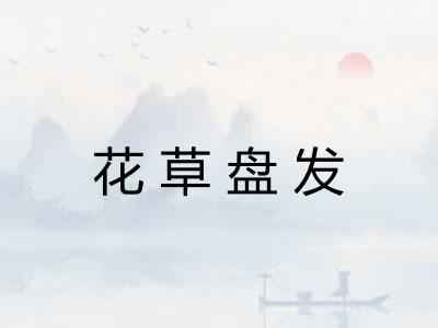 花草盘发