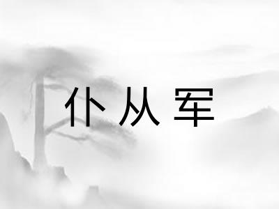 仆从军