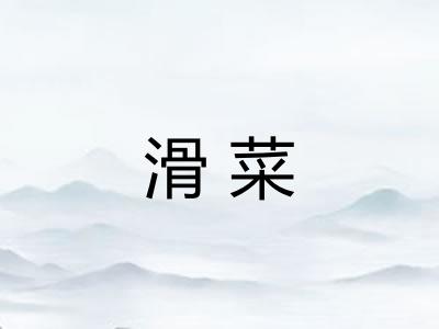 滑菜
