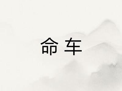 命车