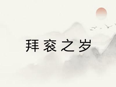 拜衮之岁