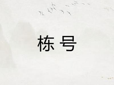 栋号