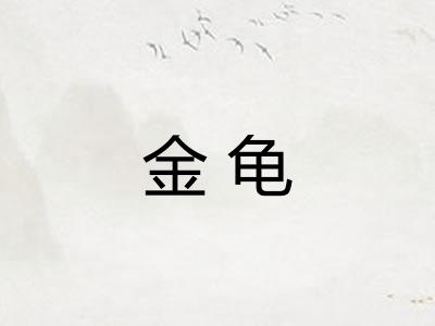 金龟