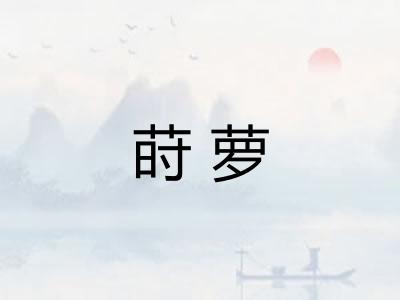 莳萝