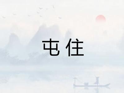 屯住
