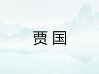 贾国