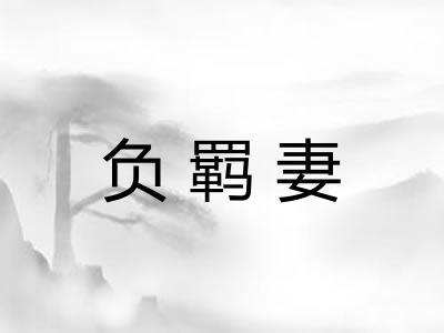 负羁妻
