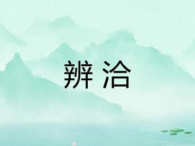 辨洽