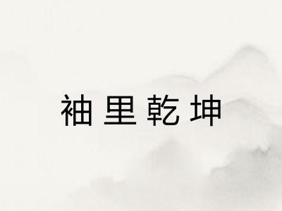 袖里乾坤