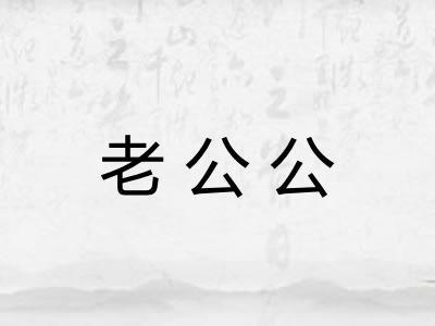 老公公