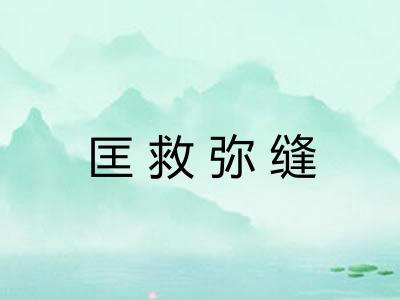 匡救弥缝