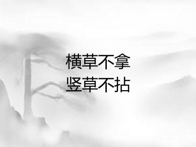 横草不拿竖草不拈