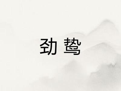 劲鸷