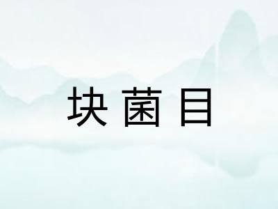 块菌目