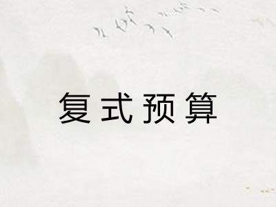 复式预算