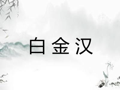 白金汉