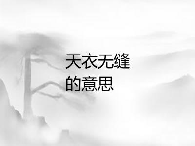 天衣无缝的意思