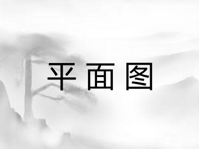 平面图