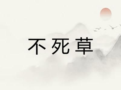 不死草