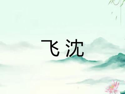 飞沈