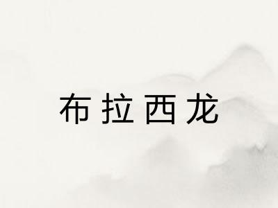 布拉西龙