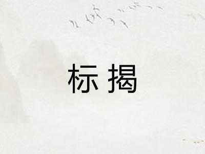 标揭