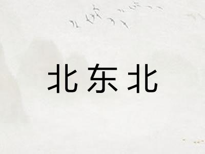 北东北