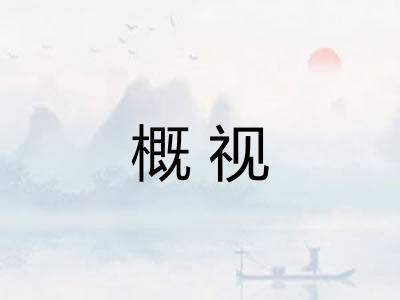 概视