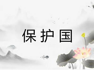 保护国