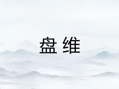 盘维