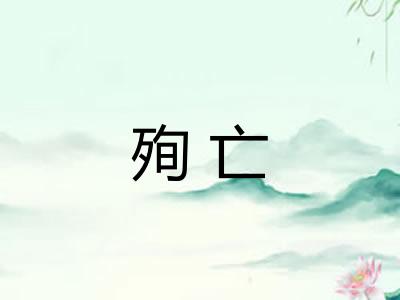 殉亡