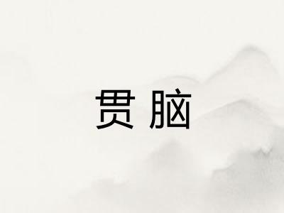 贯脑