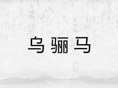 乌骊马