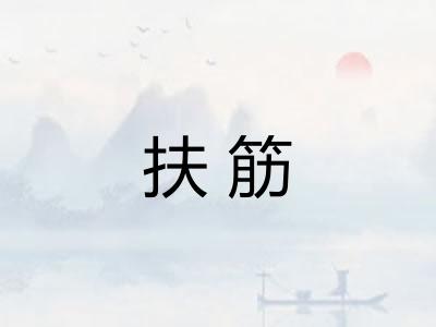 扶筋